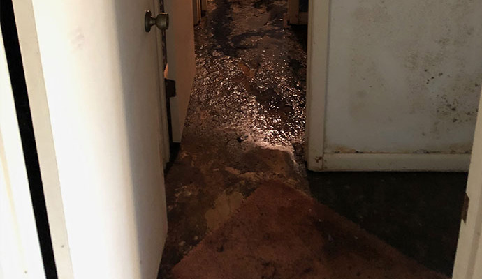 Dirty floor sewage removal service